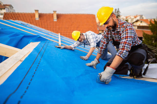 Best Gutter Installation and Roofing  in Campbelltown, PA